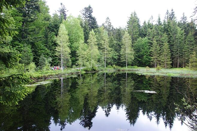 Grimmeisenweiher