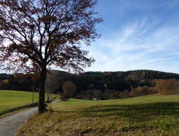 schöne Hügelwanderung