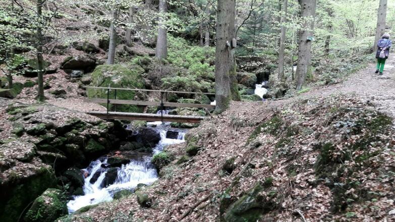 Nagelsteiner Wasserfälle - beim Brücklein geht es gerade weiter