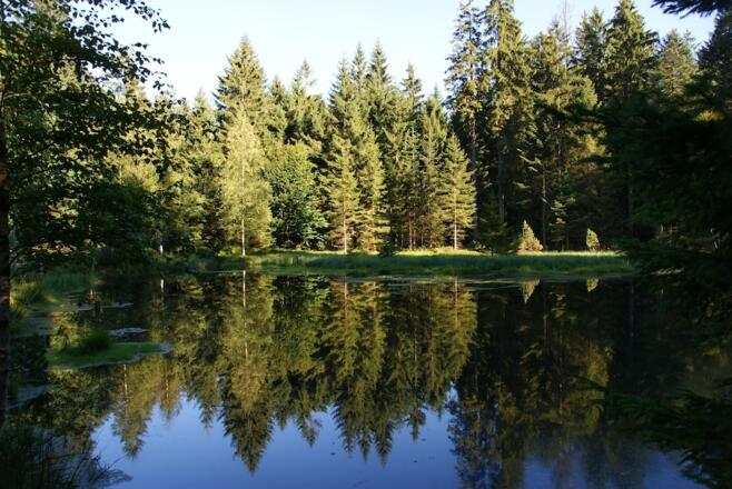 Grimmeisenweiher