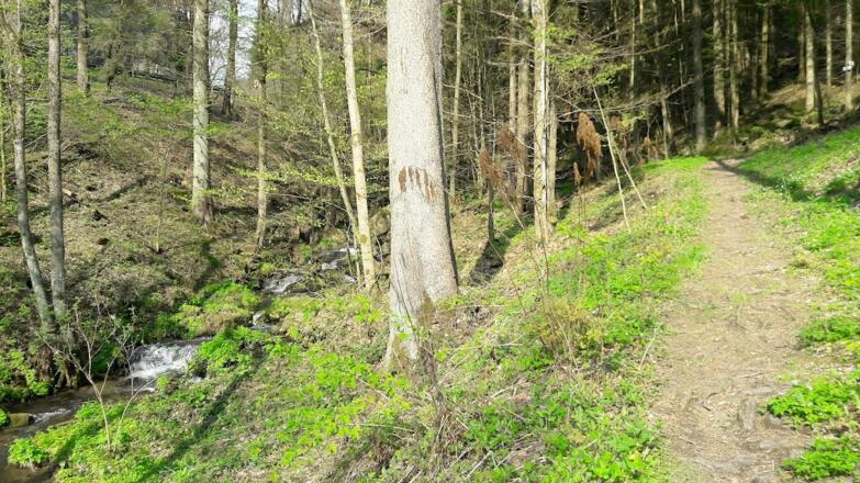 Letztes Wegstück am Bach entlang