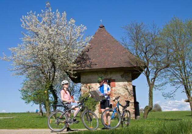Radfahrer entlang des Festspiel-Radweges