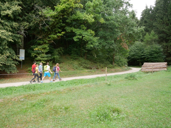 Auf dem Karstkundlichen Wanderpfad