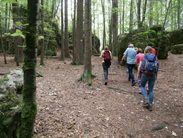 Auf dem Karstkundlichen Wanderpfad