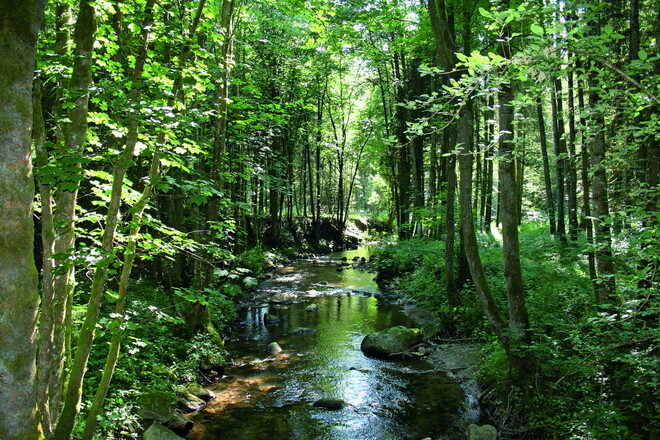 Perlbachtal entlang des Donau-Regen-Radweges