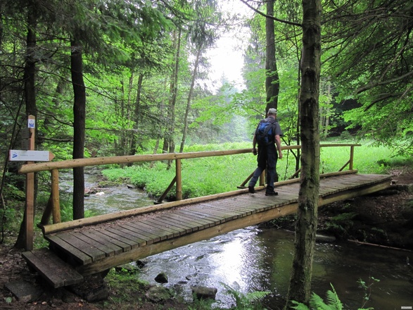 Holzsteg