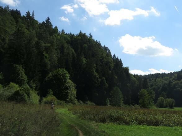 Aufseßtal