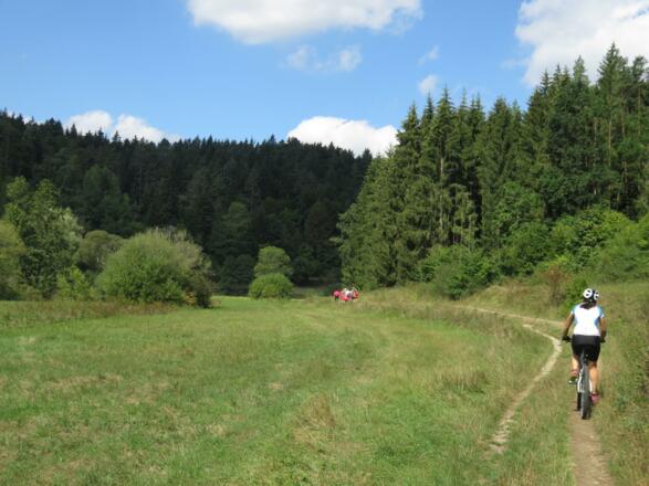 Aufseßtal