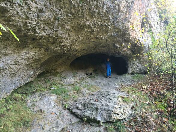 Foto von Wanderung: Ailsbachtaler Höhlenweg • Fränkische Schweiz (23.10.2016 17:08:01 #1)