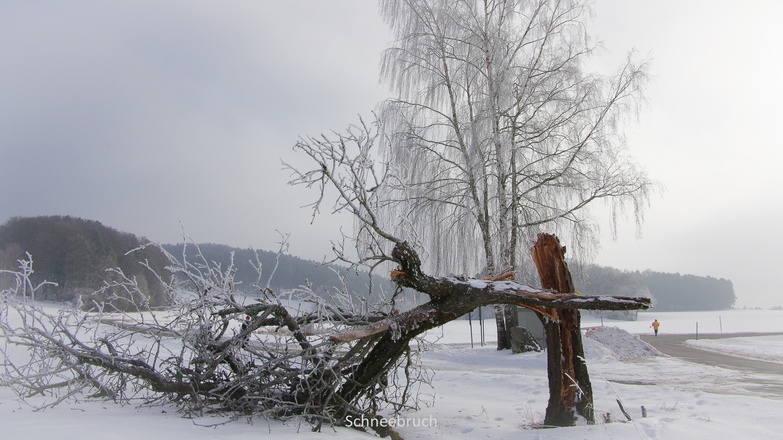 Schneebruch