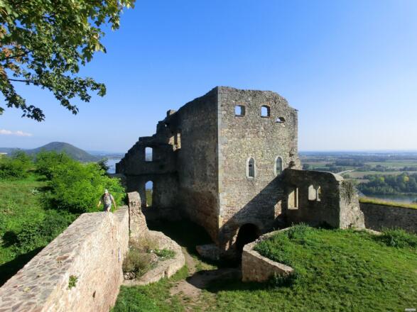 Burgruine Donaustauf