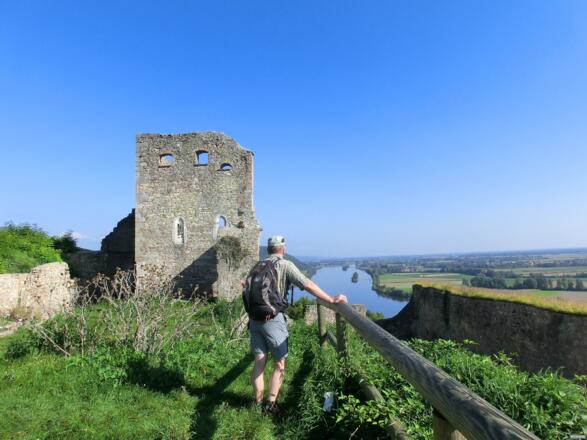 Burgruine Donaustauf