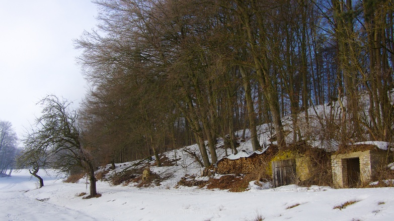 Kellerwald