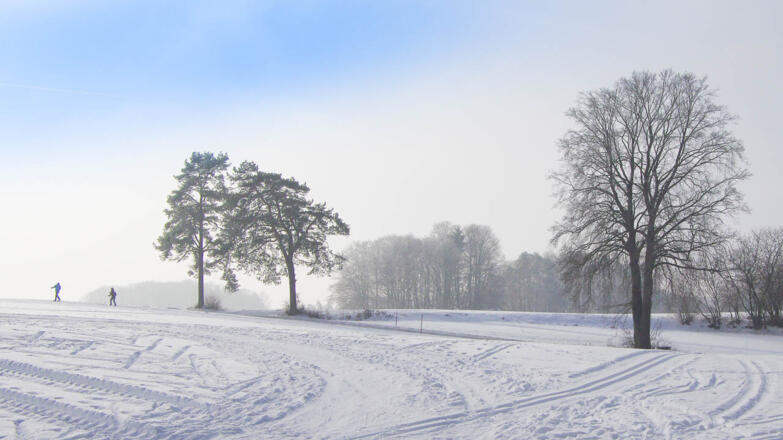 Ein Wintertraum