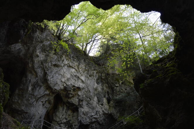Blick von unten hinauf in die Versturzhöhle Riesenburg