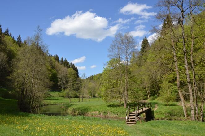 Wo das Wiesenttal ganz eng ist