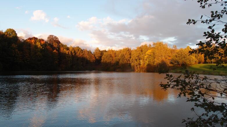 Lettenbachsee