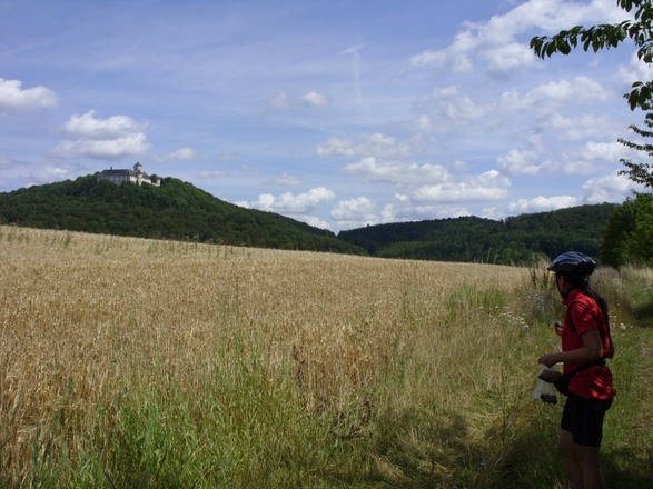 Greifenstein