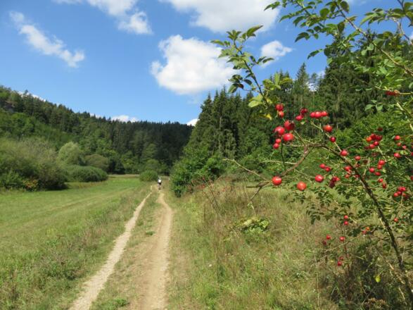 Aufseßtal