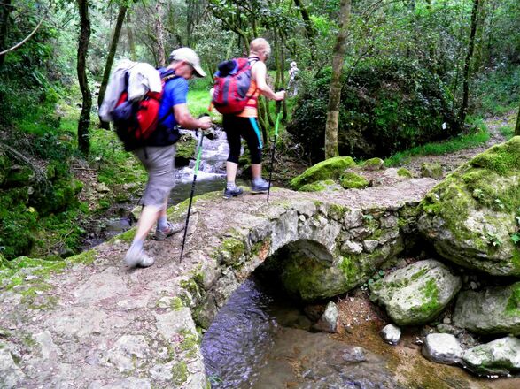 Pilgern - gemeinsam über Stock und Stein