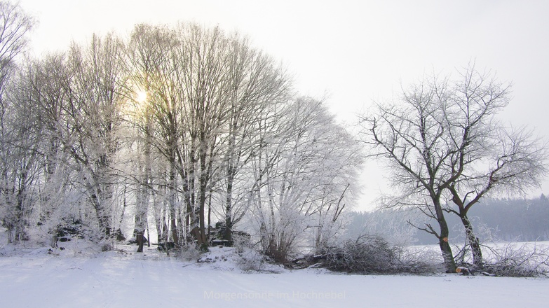 Wintersonne