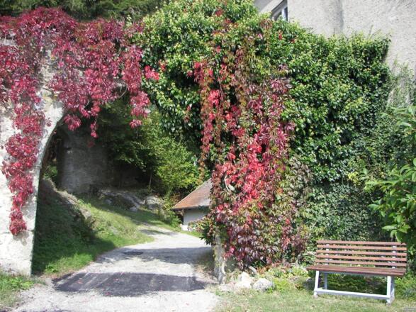 Burgruine Brennberg