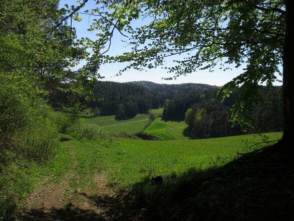 von der Pulvermühle über die weiße Marter nach Doos