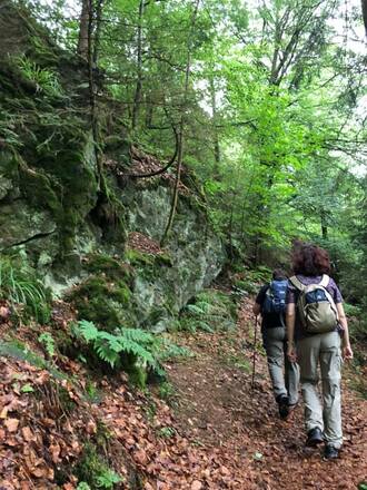 Auf dem FrankenwaldSteigla Franzosen-Weg
