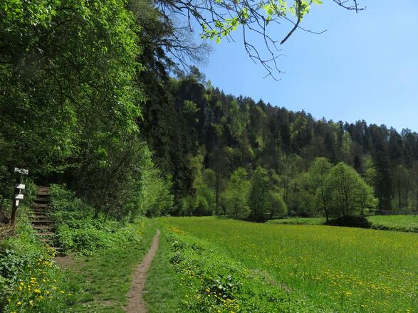 an der Wiesent von Doos bis Pulvermühle