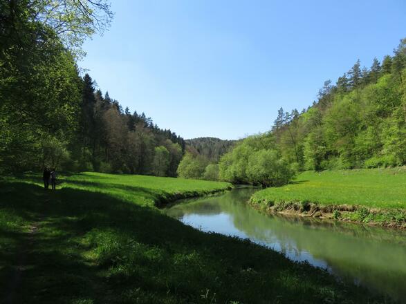 an der Wiesent von Doos bis Pulvermühle