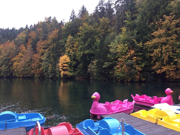 Schöngrundsee