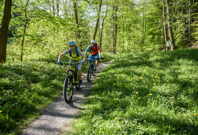 Radfahrer am Rennsteig