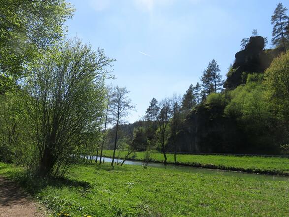 an der Wiesent von Doos bis Pulvermühle
