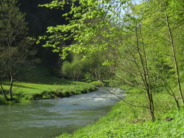 von der Pulvermühle über die weiße Marter nach Doos