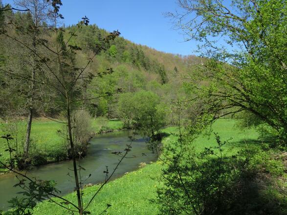 an der Wiesent von Doos bis Pulvermühle