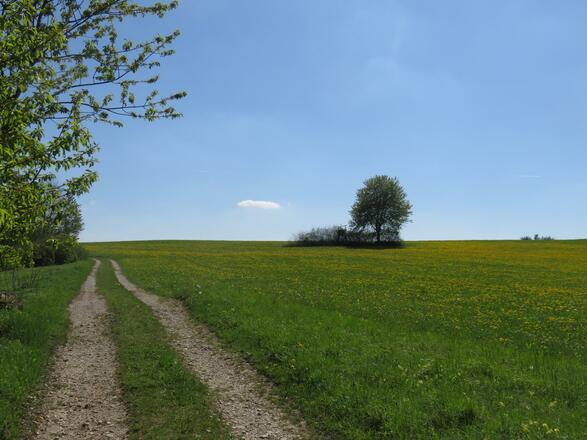 von der Pulvermühle über die weiße Marter nach Doos