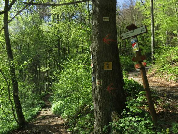 von der Pulvermühle über die weiße Marter nach Doos