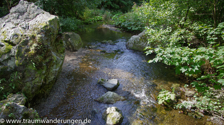 Badegumpen in der Steinach