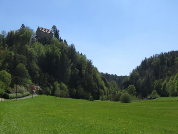 an der Wiesent von Doos bis Pulvermühle