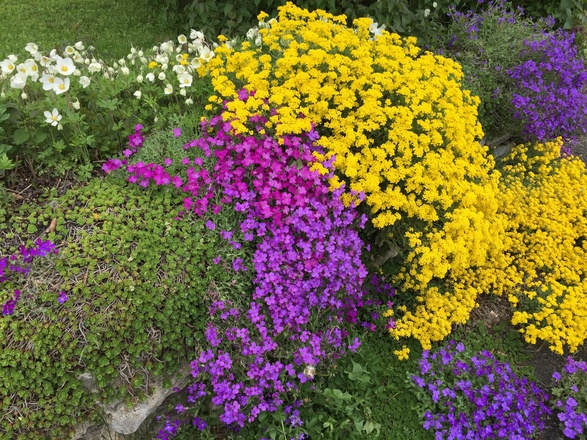 Blumenrabatte