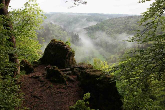 Wiesentblick