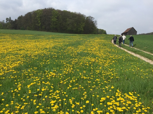 Weg bei Kleinhül
