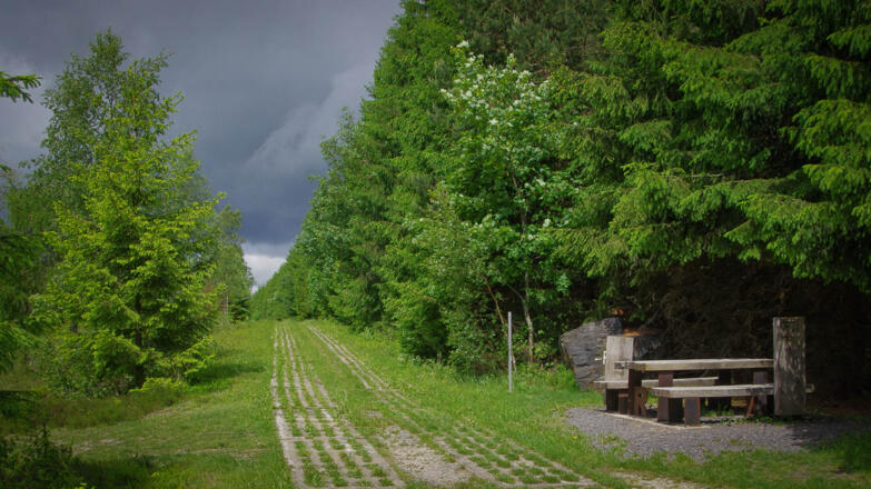 Kollonnenweg an der Zonengrnze