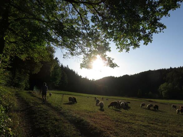 bei Unterailsfeld