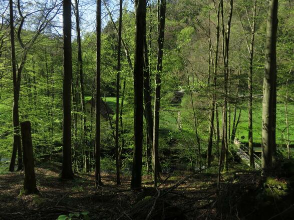 von der Pulvermühle über die weiße Marter nach Doos