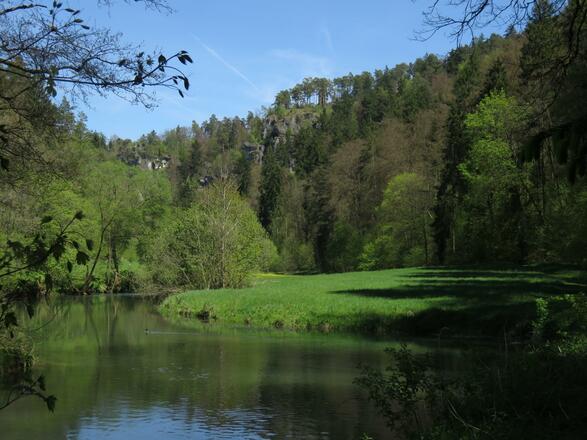 an der Wiesent von Doos bis Pulvermühle
