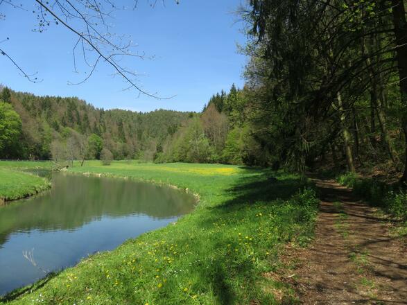 an der Wiesent von Doos bis Pulvermühle