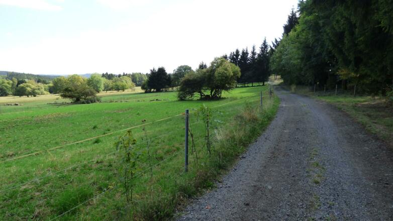 auf dem Feldweg hinter Schlegel