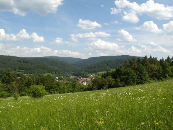 Sattes Grün und weite Täler