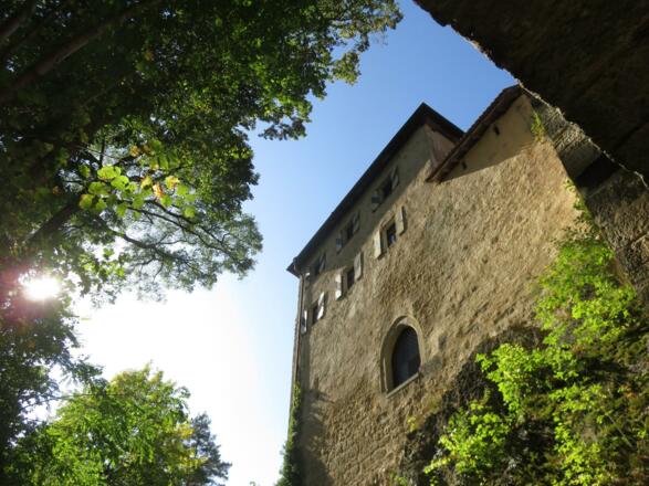 Burg Rabeneck